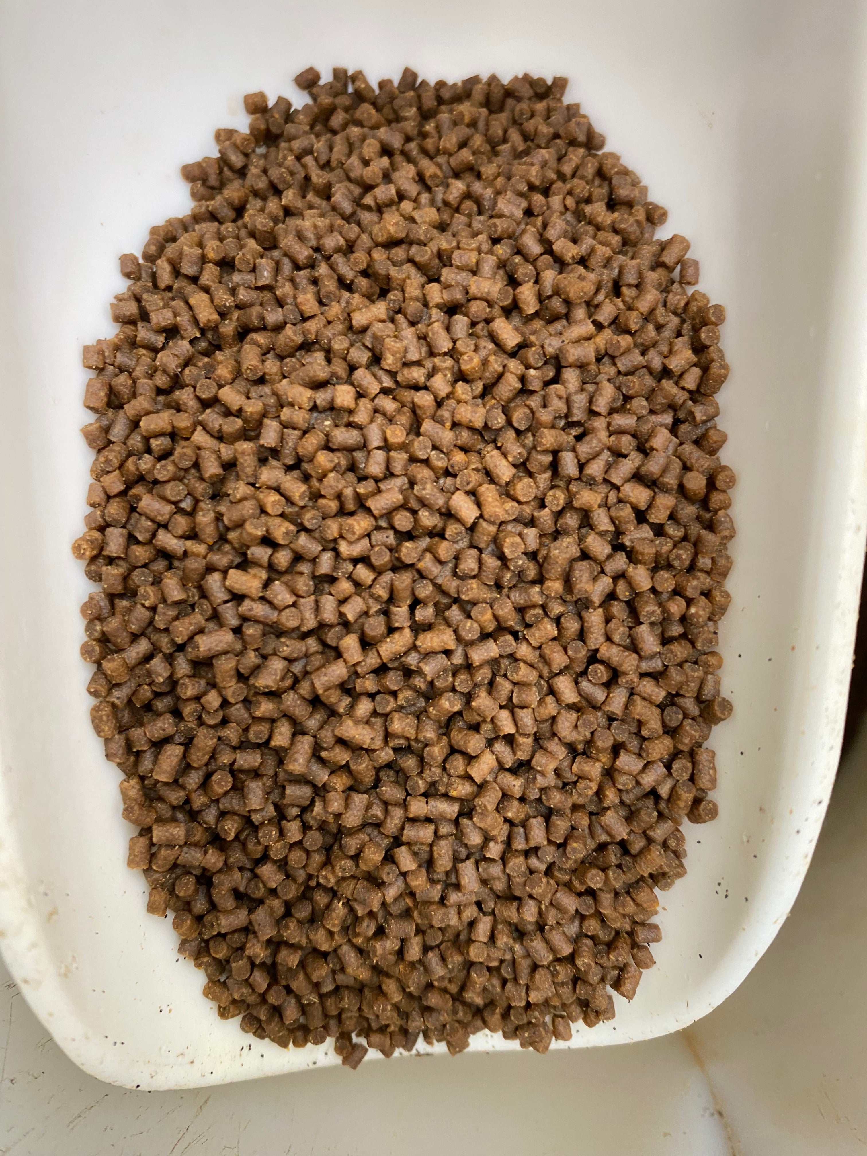 Mangime completo bilanciato